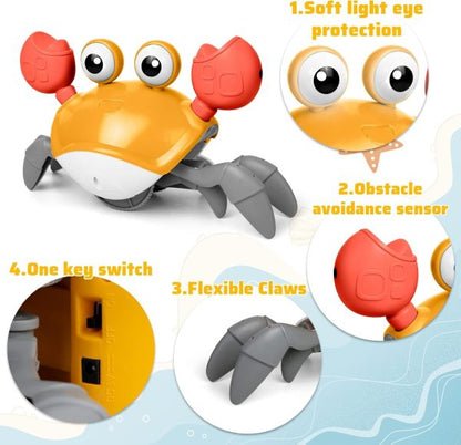 Crawling Crab Baby Toy (random)